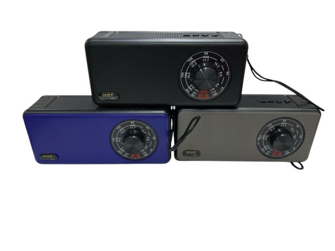 Radio parlante HF611