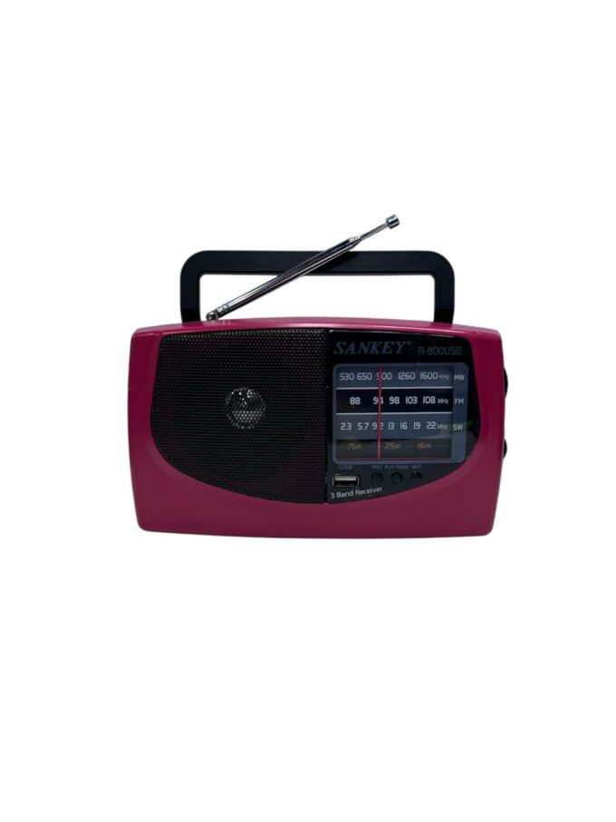 Radio Sankey USB R800